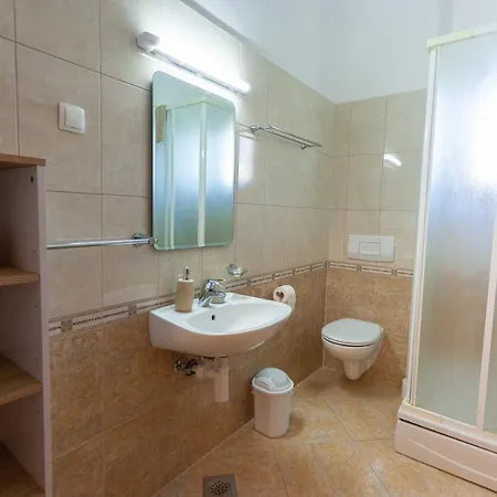 Jerry With Private Pool Apartman